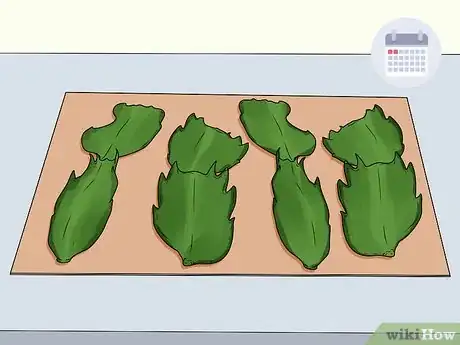 Image titled Plant a Christmas Cactus Step 4