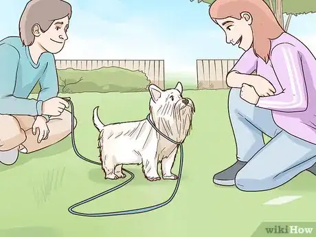 Image titled Choose a Small Dog Step 14