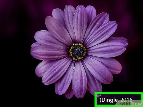 Image titled Cite Google Images Step 5