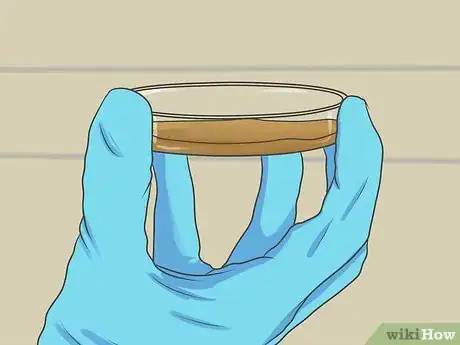 Image titled Grow Yeast Step 23