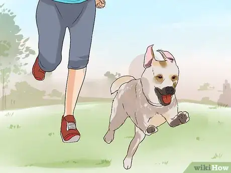 Image titled Have a Fun Day with Your Dog Step 4