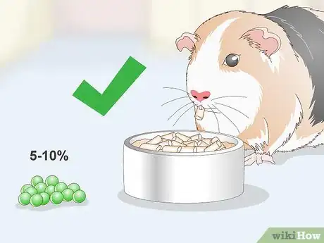 Image titled Give Your Guinea Pig Treats Step 9