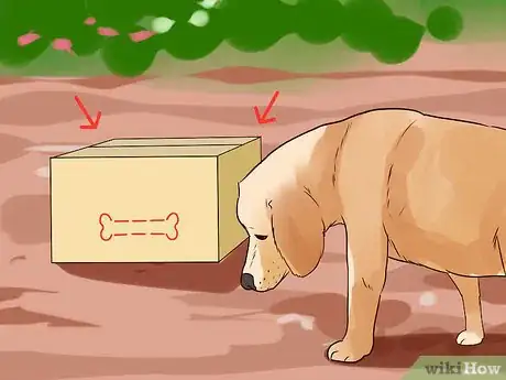 Image titled Have a Fun Day with Your Dog Step 3