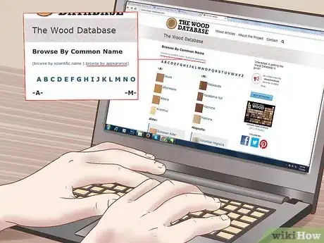 Image titled Identify Wood Step 11