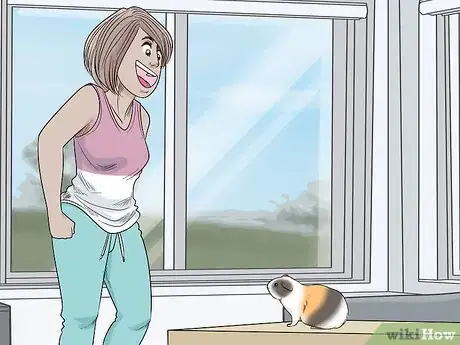 Image titled Avoid Scaring Your Guinea Pig Step 1