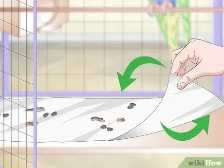 Image titled Clean and Maintain Lory and Lorikeet Habitats Step 11