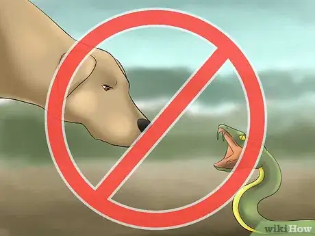 Image titled Walk a Dog in the Woods Step 3