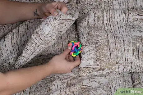 Image titled Test Your Cat's Intelligence Step 1