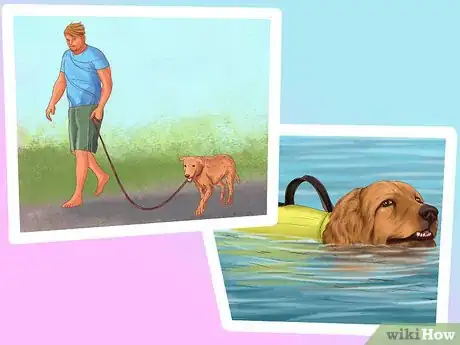 Image titled Give Your Large Dog Enough Exercise Step 1