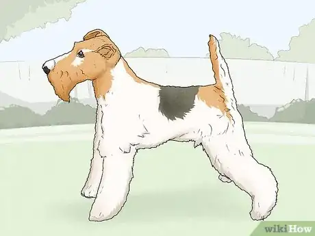 Image titled Choose a Dog Suitable for Your Climate Step 6