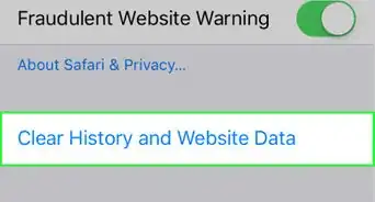 Clear Safari Search History