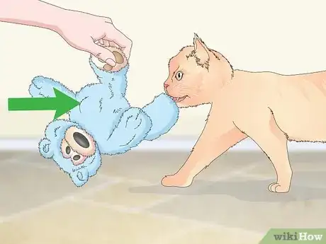 Image titled Manage Wool Sucking in Cats Step 6