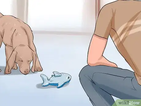 Image titled Modify Tricks Based on an Old Dog's Physical Limitations Step 10