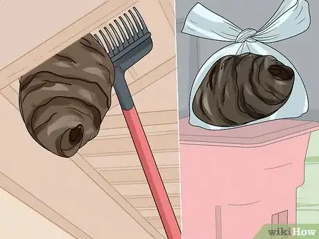 Image titled Keep Hornets Away Step 20