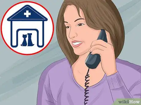 Image titled Have a Successful Visit to the Vet Step 17