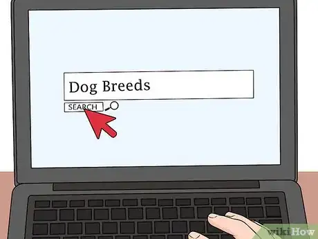 Image titled Get a Dog While You're a Teen Step 5