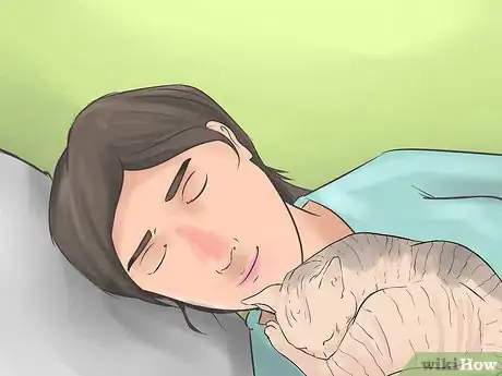 Image titled Identify a Sphynx Cat Step 6