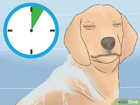 Image titled Eliminate Skunk Odor Step 10