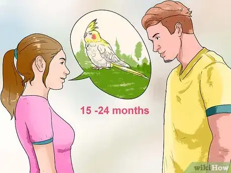 Image titled Keep Cockatiels Healthy While Breeding Step 10