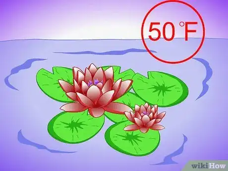 Image titled Plant Aquatic Plants Step 20