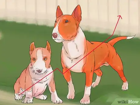 Image titled Choose a Dog That's Easy to Train Step 17