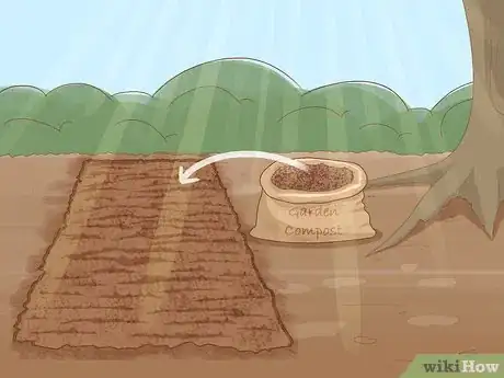 Image titled Plant English Bluebell Bulbs Step 9