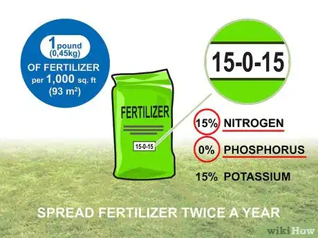 Image titled Grow Centipede Grass Step 17