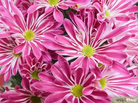 Image titled Make a Dried Flower Bouquet Step 2