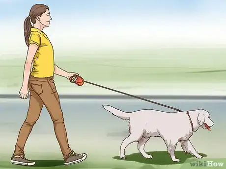 Image titled Manage Cognitive Dysfunction in Senior Dogs Step 8