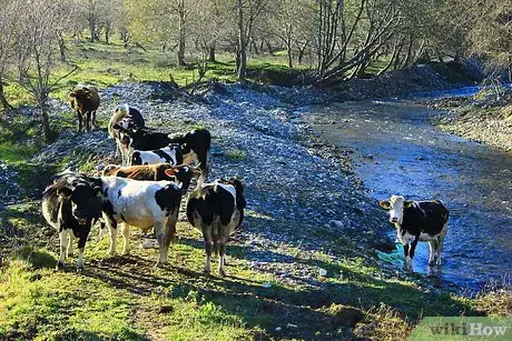 Image titled Become a Farmer at Fifty Step 7