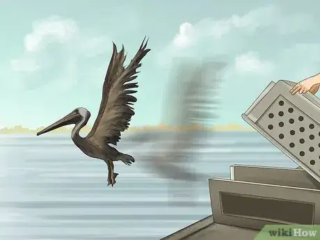 Image titled Clean Oil off Birds Step 10