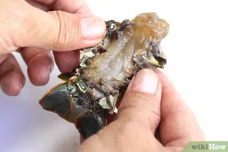 Image titled Cook a Lobster Step 7