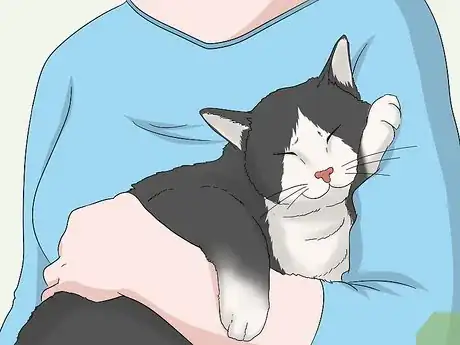 Image titled Soothe Your Cat With a Massage Step 1