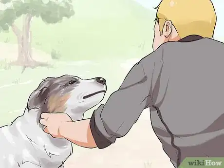 Image titled Do Short Training Sessions with Your Hunting Dog Step 1