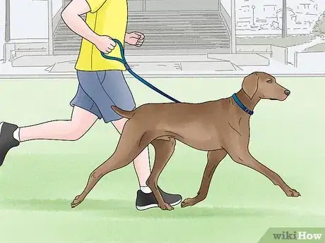 Image titled Choose a High Energy Dog Breed Step 1