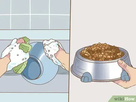 Image titled Clean a Chinchilla Cage Step 19