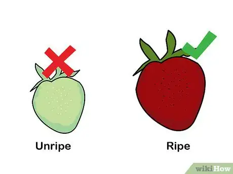 Image titled Grow Hydroponic Strawberries Step 20