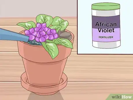 Image titled Grow African Violets Step 12