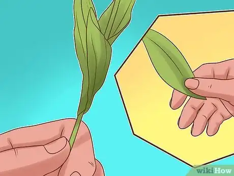 Image titled Arrange Tulips Step 5