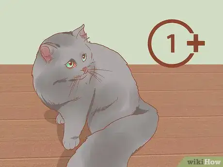 Image titled Find a Friendly Kitty Step 8