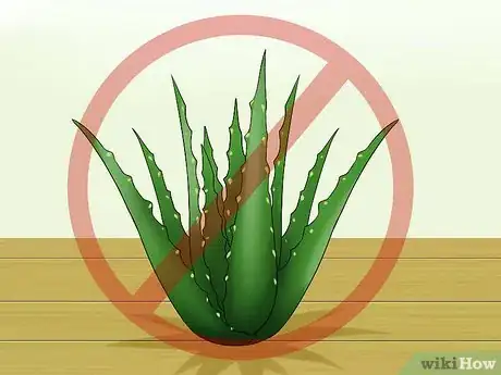 Image titled Prepare for Kittens Step 3