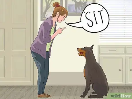 Image titled Prepare Your Dog to Go Off‐Leash Step 3