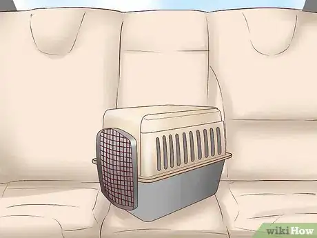 Image titled Travel Long Distance With a Cat Step 9