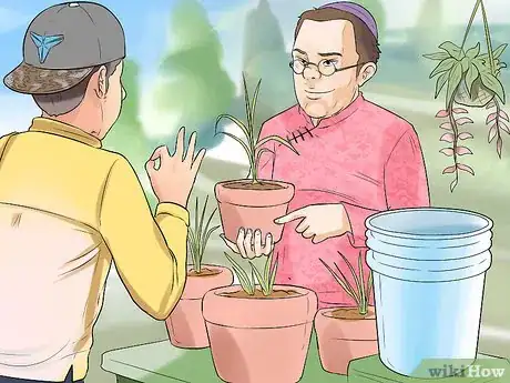 Image titled Cultivate Lemongrass Step 4