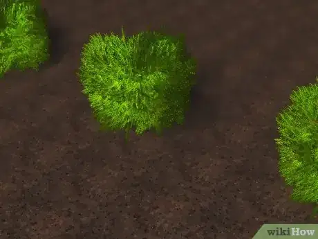 Image titled Plant Juniper Step 12