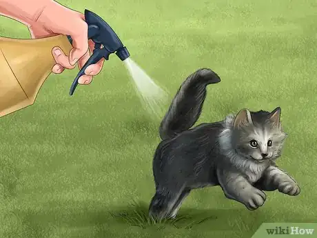 Image titled Teach a Kitten to Play Nice Step 9