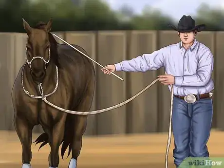 Image titled Teach Your Horse to Piaffe Step 7