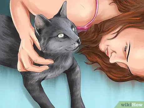 Image titled Choose a Kid Friendly Cat Step 6
