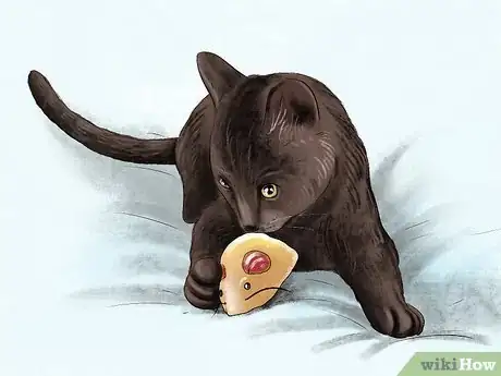 Image titled Find Your Cat's Preferred Play Style Step 4