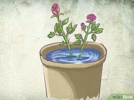 Image titled Plant a Bare Rooted Rose Bush in a Pot Step 2